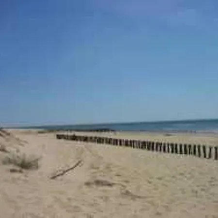 木屋 2 Etoiles - Piscine - Eebbhh Saint-Denis-dʼOléron